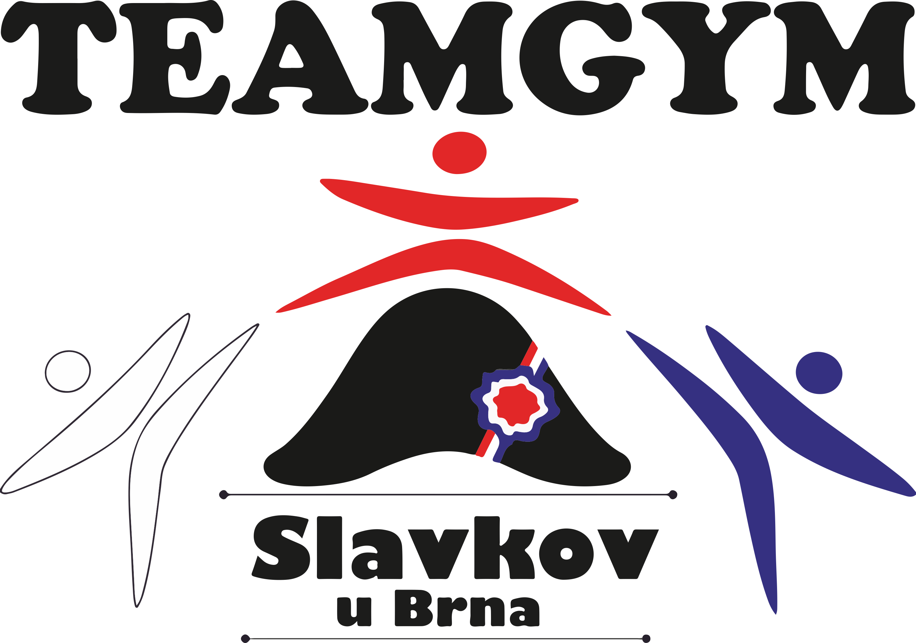 TeamGym Slavkov